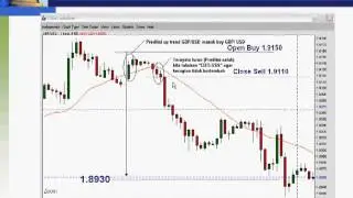 Belajar Forex Trading Dasar