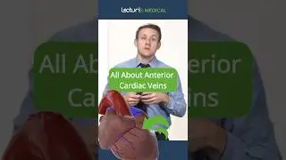 Master Cardiac Veins in 60 Seconds! ⏱️