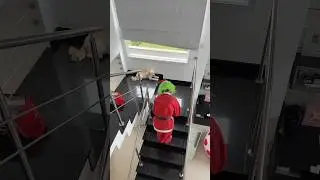 REVELEI O GRINCH
