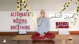 alternate nostril breathing | 5 min Breathwork | تمرين التنفس التبادلي
