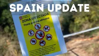 Huge Blow for Barcelona: 91 Areas Classified as ASF-Infected by the EU - Spain news