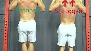 Pull-up Form - Scapula Position during Pull-Ups -MoveU