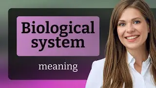 Understanding 