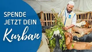 Spende Jetzt dein Kurban!