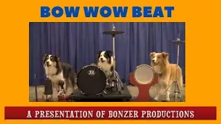 Bow Wow Beat