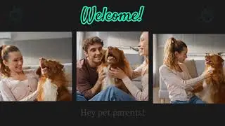 Save 25% on Dog Flea & Tick Treatments | BestVetCare 10.10 Sale + Free Shipping