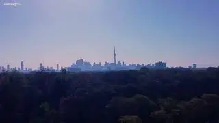 Toronto High Park | Grenadier Pond | Relaxing Music for Studying, Stress Relief, Focus