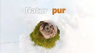 Natur pur - in der Bucht von Meierwik