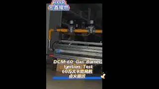 DCM-60 GAS BURGER IGNITION TEST, Welcome to inquiry! What's App: +86 13686575783 #boiler #gasburner