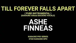 Ashe and Finneas - Till Forever Falls Apart ( NO BACKING VOCALS with LYRICS )
