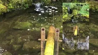 Fall asleep fast| Shishi odoshi rocking bamboo fountain| Japanese Garden| Butchart| |Victoria, BC