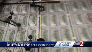 Florida's $115 billion state budget broken down