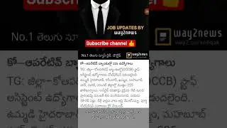 latest jobs update skh study circle infotech telugu youtube channel #jobs