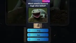 😂 Which Animal Laughs When Tickled? | Fun Animal Quiz | QuizZen #quiz #animalquiz #funquiz #gkquiz
