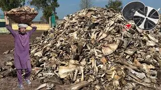 Unbelievable Recycling Process of Animal Bones to Make New Bone Buttons