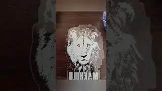 My Mapogo Lion Collection