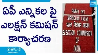Election Commission Action Plan In AP Elections | YSRCP | TDP BJP Janasena Alliance | @SakshiTV