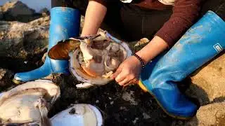 Pearl treasure! Beauty exploration captures mutated river clams, containing rare pearl treasures!