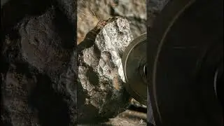 Cutting an Alien Meteorite 👽🪨| Smart Science Hub