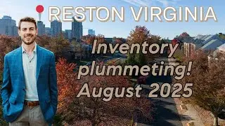 Reston Real Estate Report | August 2025