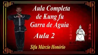Kung fu Garra de Águia: Aula 2 soco básico