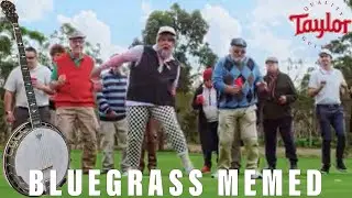 BLUEGRASS MEMED - When Taylor guitar players join the jam:
