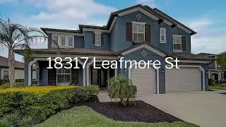 18317 Leafmore St Lutz, FL  33548