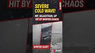 Severe Cold Wave & Dense Fog Grip North India | MP, Rajasthan, UP Face Harsh Winter Conditions |