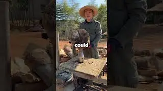Military personnel of Reddit, what's the craziest leadership failure you witnessed?