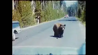BR 59 Johnson Home Movies