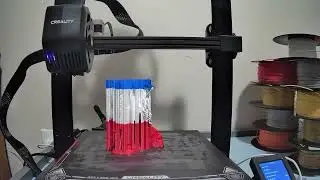 Red white and blue eagle Timelapse