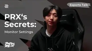 See Like PRX: The Settings Behind WGAMING | ZOWIE Esports Talk