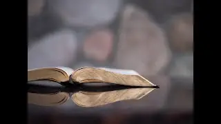 DAILY MASS|| 06.07.2021||ST JOSEPH PILGRIM CENTER,KUREEPUZHA||