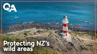 Landowner: Why paper road to Cape Palliser needs to close | Q+A 2025