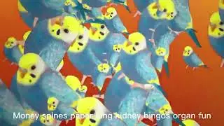 Trembling Blue Stars - Kidney Bingos
