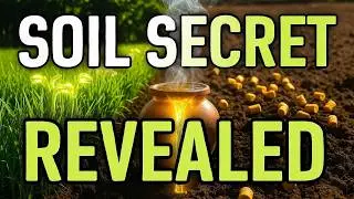 The Fertilizer Industry Doesn&rsquo;t Want You to Know This Korean Secret