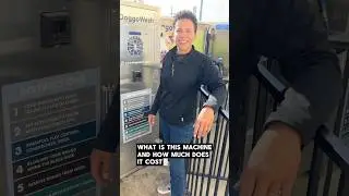 How Much Does a Self Serve Dog Wash Station Cost?