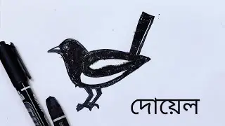 How to Draw doel bird