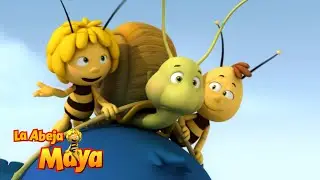 El Sueño De Shelby 🐢💤 - Capítulos completos - La Abeja Maya
