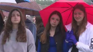 Posadili zeli&scaron;ča na strehi kulturnega centra