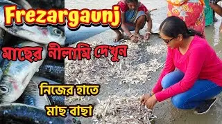 Frezargaunj,Bakkhali.মাছের নীলামি দেখুন।Frezarganj FishMarket,Bakkhali.#bakkhali.#westbengaltourism.