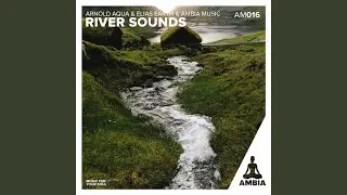 Asmr River Sounds
