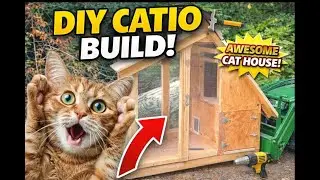 🙀DIY Outdoor Catio Build | Cheap, Easy & Predator-Proof!