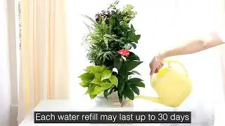 Mini Vertical Plant Wall Z101