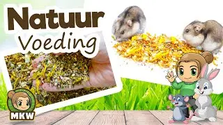 Onderzoek naar Zelfmixen en natuurvoeding - Mixerama 🐹 Marika's Knaagdierwereld