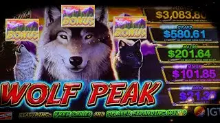 We Did The Unthinkable And Got The Bonus On Wolf Peak!!