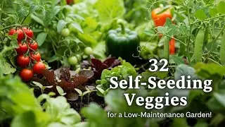 32 Self-Seeding Veggies for a Low-Maintenance Garden!