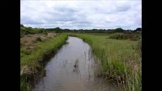 Tuckton to Hengistbury Head.