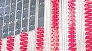 Flag 1976: Rita Blitt