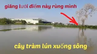 @ giăng lưới điểm sụt lún được cá rô đồng bự mà hơi rùng mình 